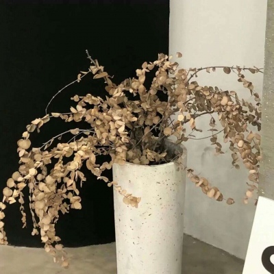 新市FurryQQ群介绍